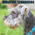 Willow Creek Press Just Miniature Schnauzers 2022 Wall Calendar (Dog Breed)
