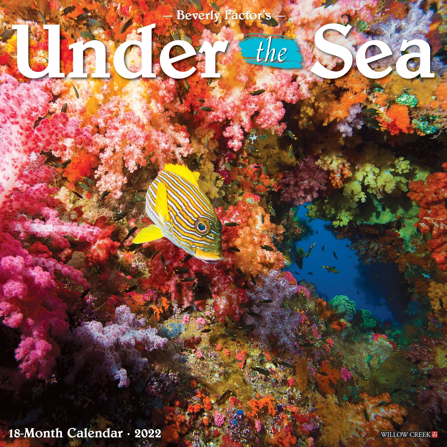 Willow Creek Press Under the Sea 2022 Wall Calendar