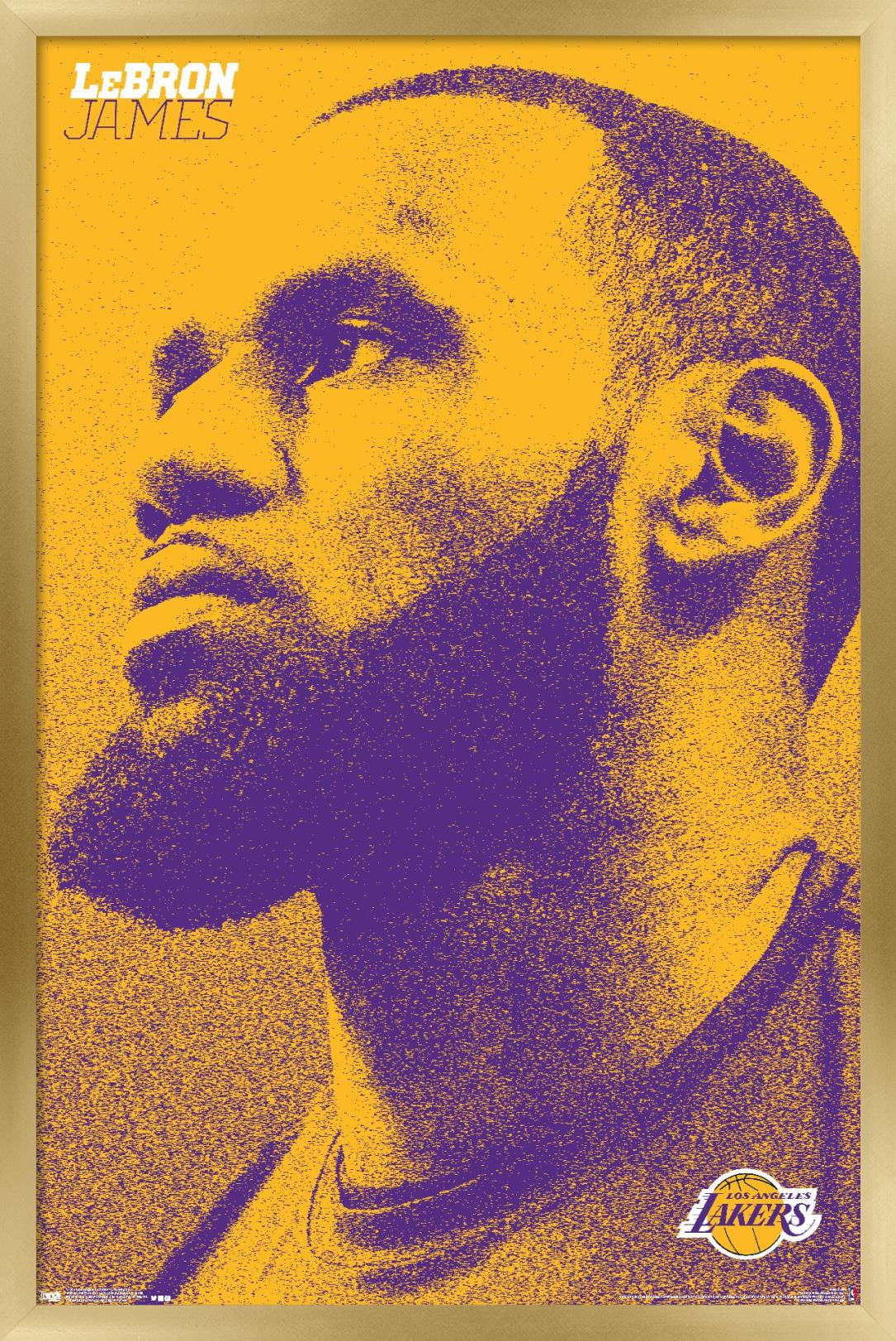 NBA Los Angeles Lakers - Lebron James 18 Wall Poster, 22.375 x 34, Framed