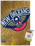 NBA New Orleans Pelicans - Logo 13 Wall Poster with Push Pins, 14.725 x 22.375