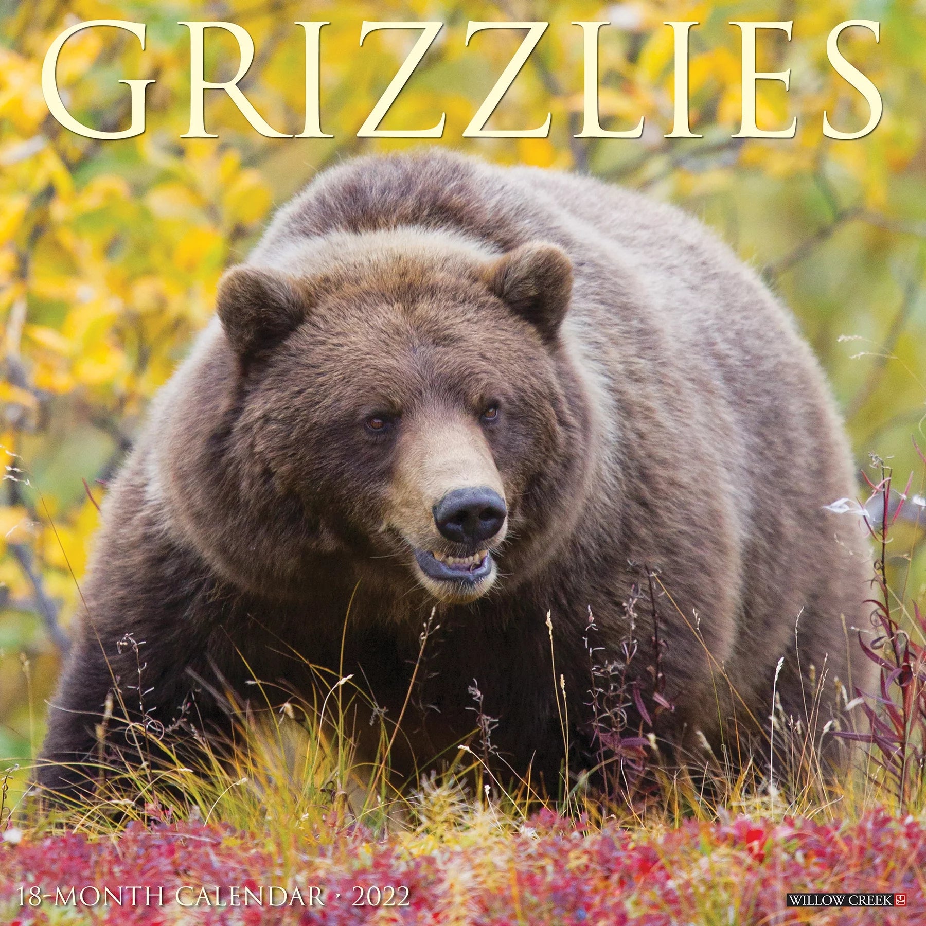Willow Creek Press Grizzlies 2022 Wall Calendar (Bears)