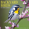 Willow Creek Press Backyard Birds 2022 Wall Calendar