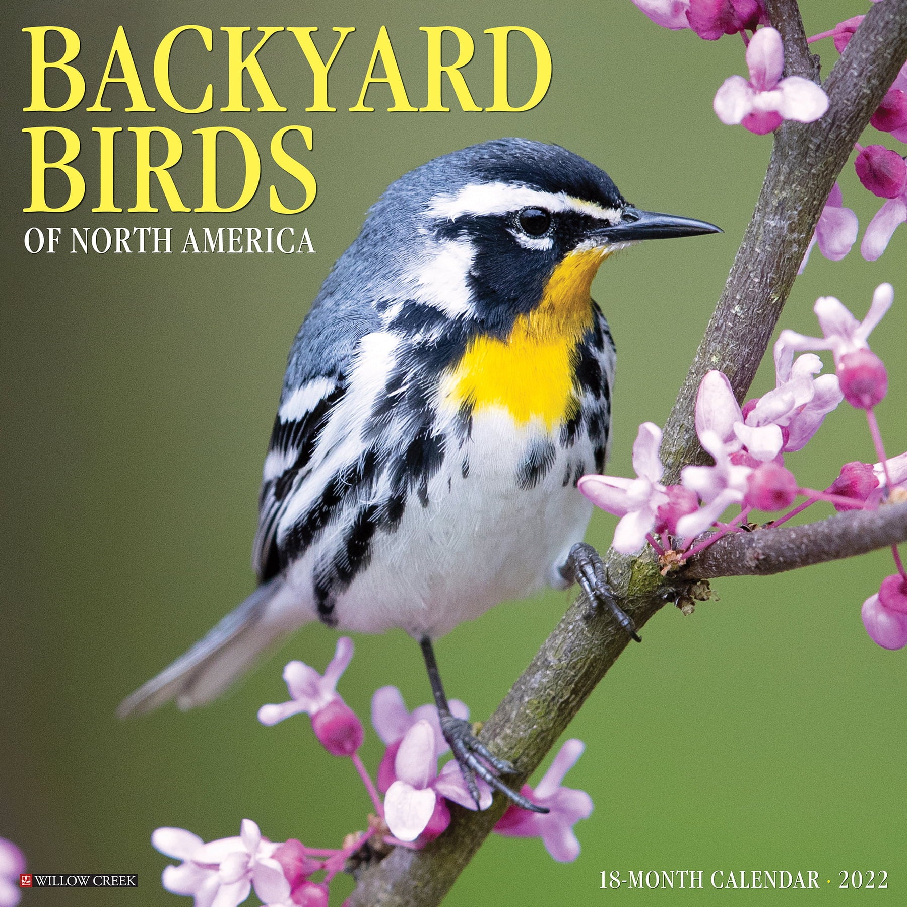 Willow Creek Press Backyard Birds 2022 Wall Calendar