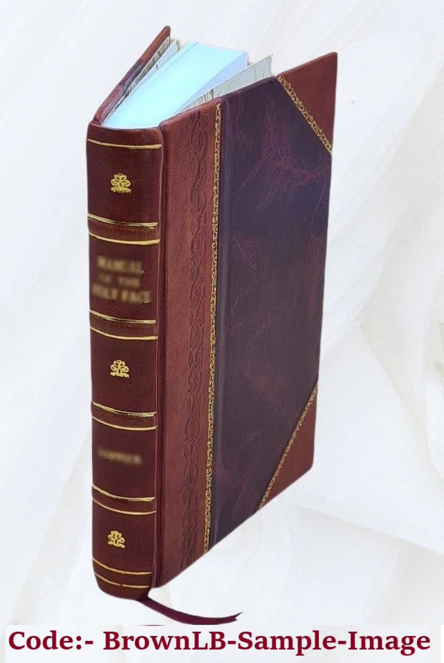 Reaeration in open-channel flow / by J.P. Bennett and R.E. Rathbun. 1971 [Leather Bound]
