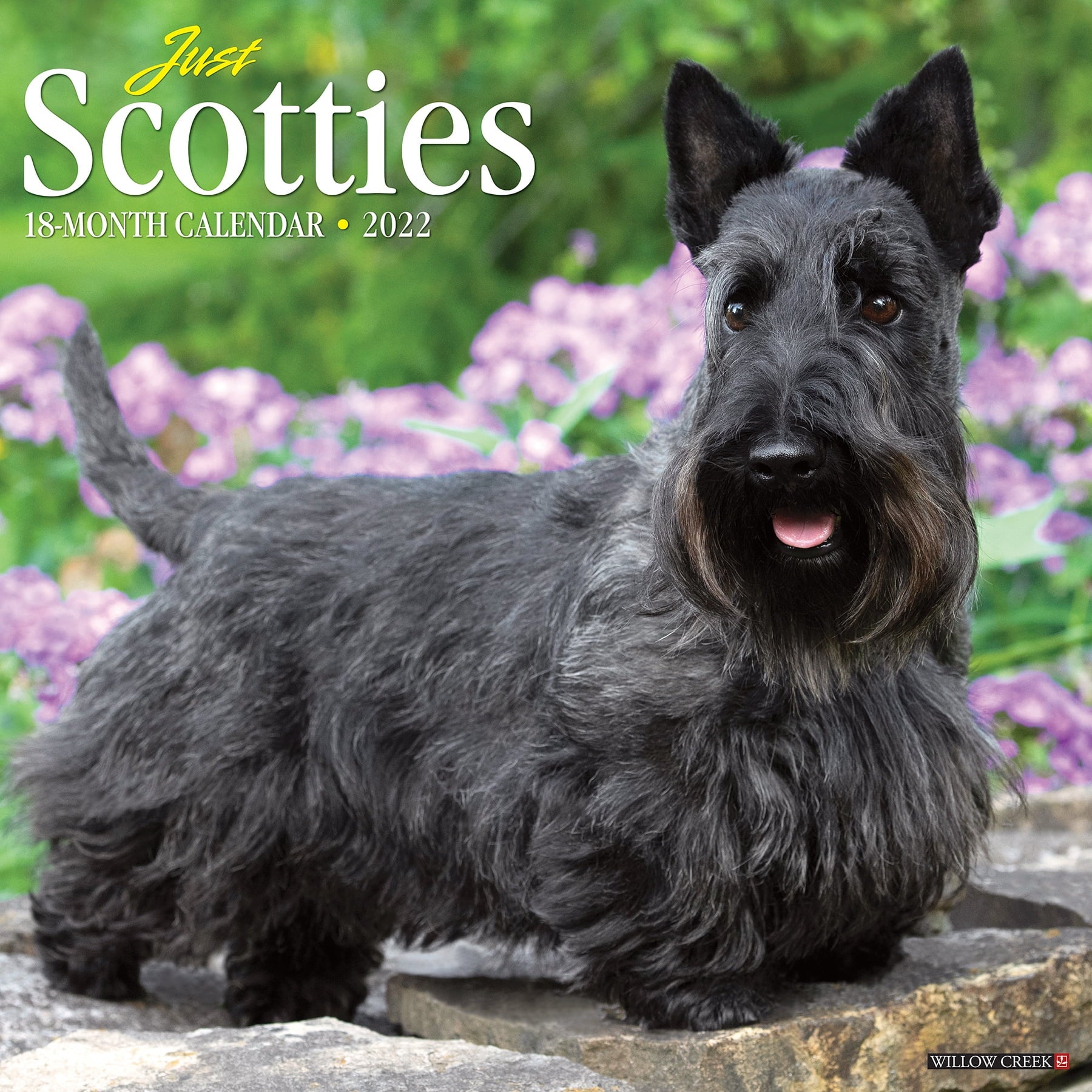 Willow Creek Press Just Scotties 2022 Wall Calendar (Dog Breed)