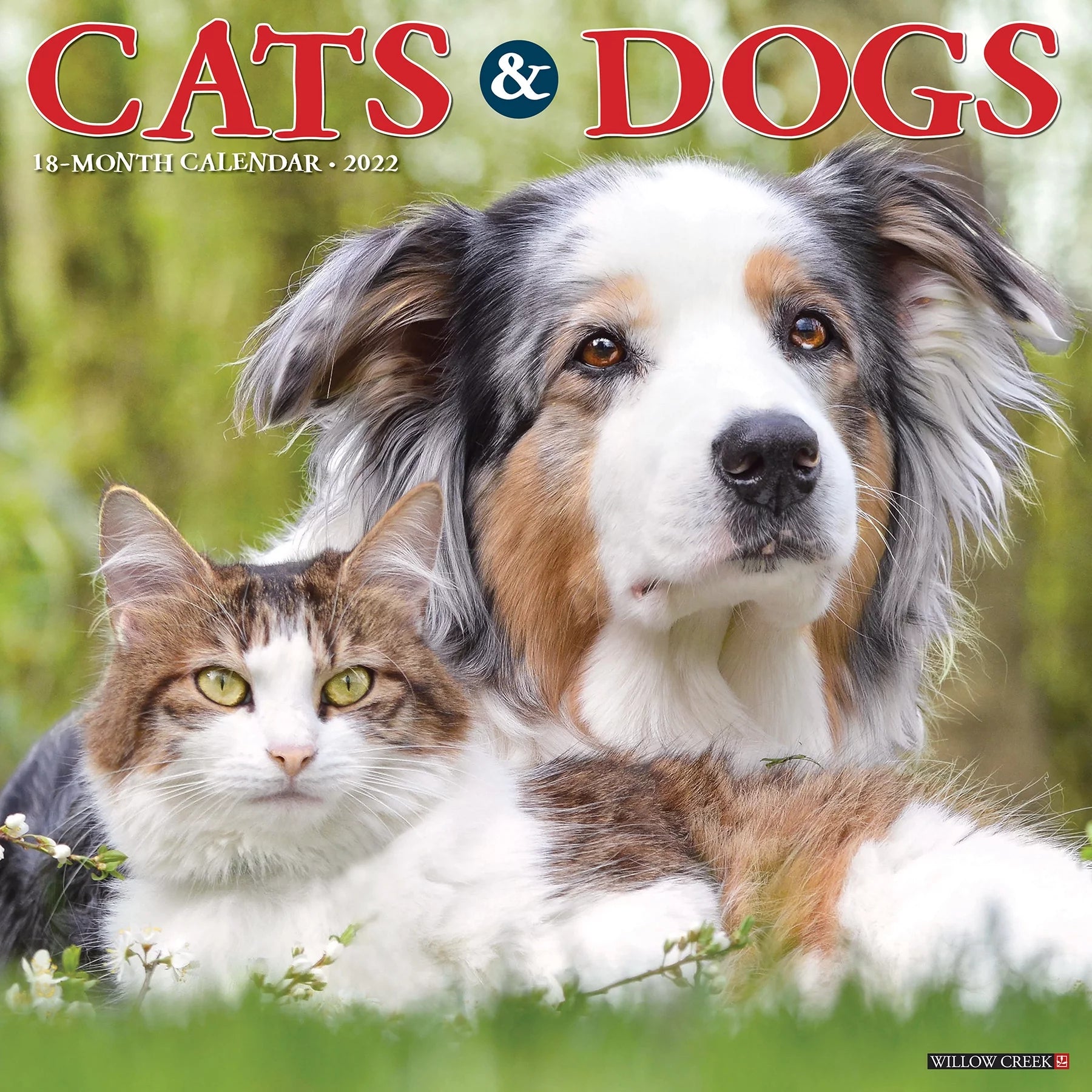 Willow Creek Press Cats and Dogs 2022 Wall Calendar