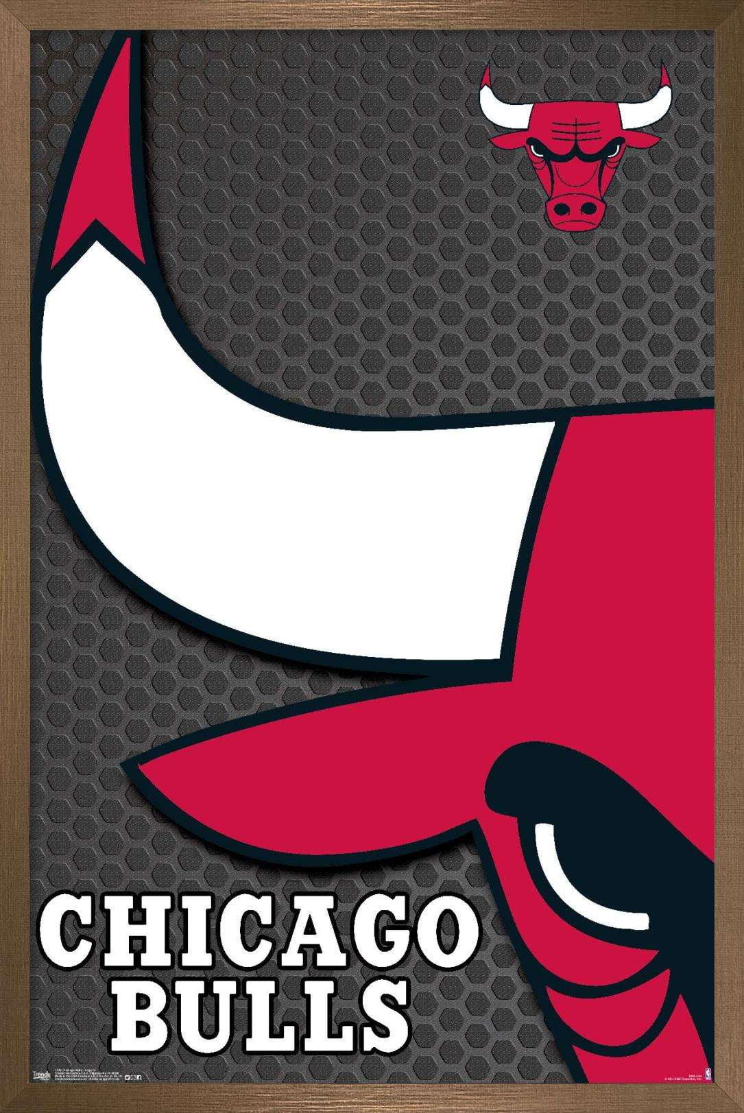 NBA Chicago Bulls - Logo 14 Wall Poster, 22.375 x 34, Framed