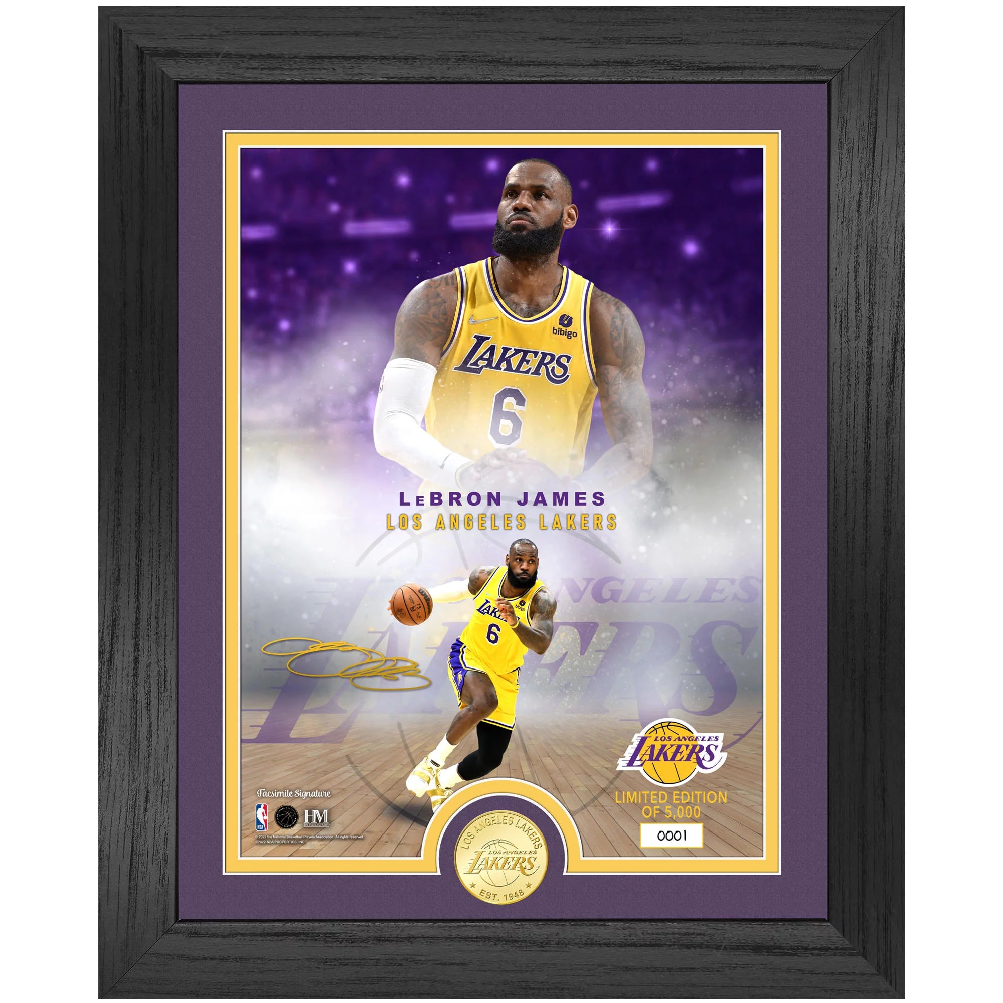 Highland Mint LeBron James Los Angeles Lakers NBA Player 13 x 16 Bronze Coin Photo Mint